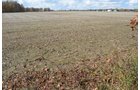Property photo 49 - 75.3 Acres Offered in 2 Tracts